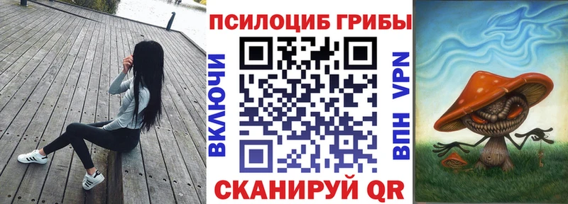 Галлюциногенные грибы Psilocybine cubensis  Бронницы 